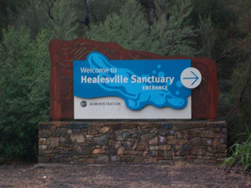 Grade 3 /4 Healesville Sanctuary Excursion