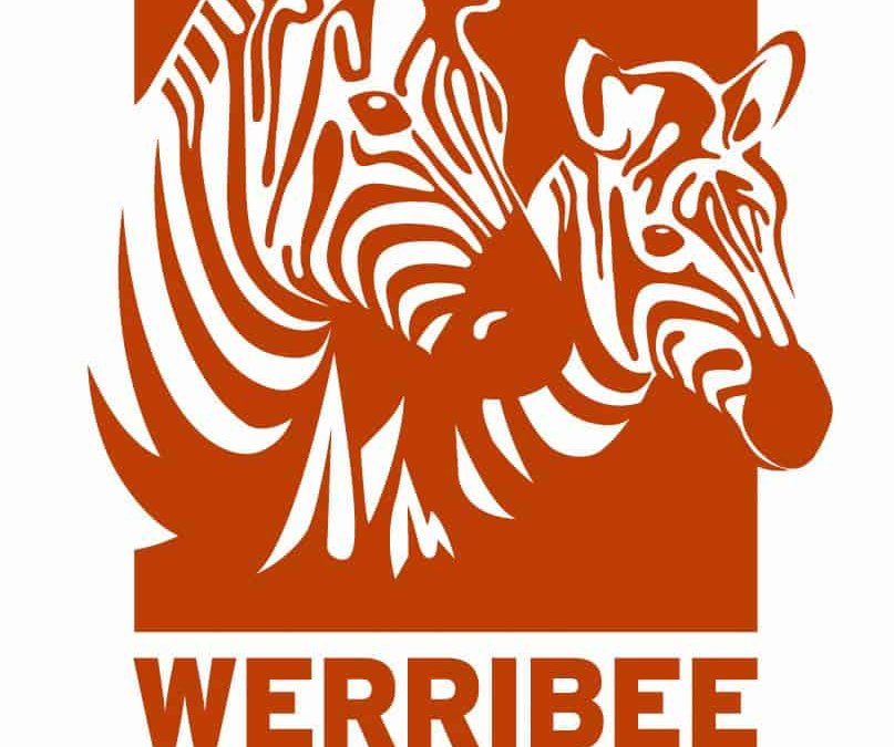 5 / 6 excursion to Werribee Zoo